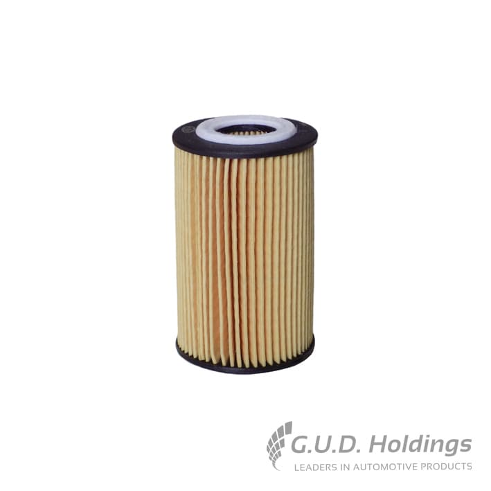 Cartridge filter — Renault